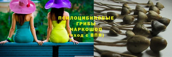 Альфа ПВП Вяземский
