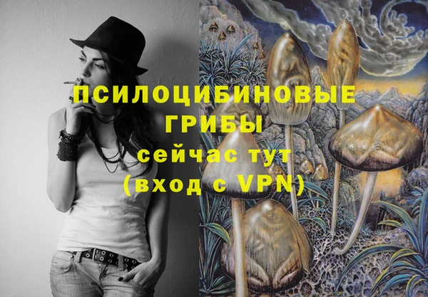 Альфа ПВП Вяземский