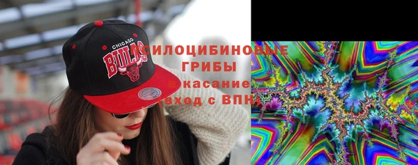 мяу мяу мука Вязьма