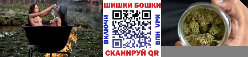 Купить закладки  Новая Усмань  МАРИХУАНА индика 
